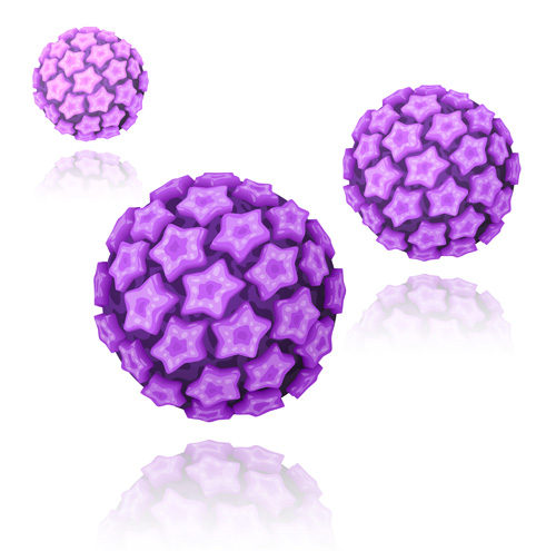 HPV (Humane Papilloma Viren) HPV (Humane Papilloma Viren)