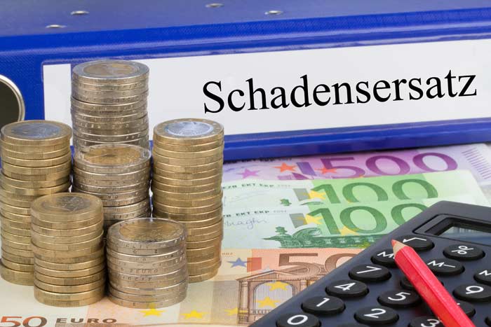 Frauenarzt-Risiken Schadensersatz Blauer Ordner mit der Aufschrift 'Schadensersatz' liegt auf mehreren Geldscheinen und hinter Geldmünzen.