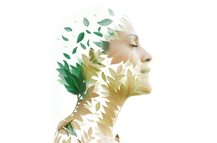 image-Titel Image-Alt-Text