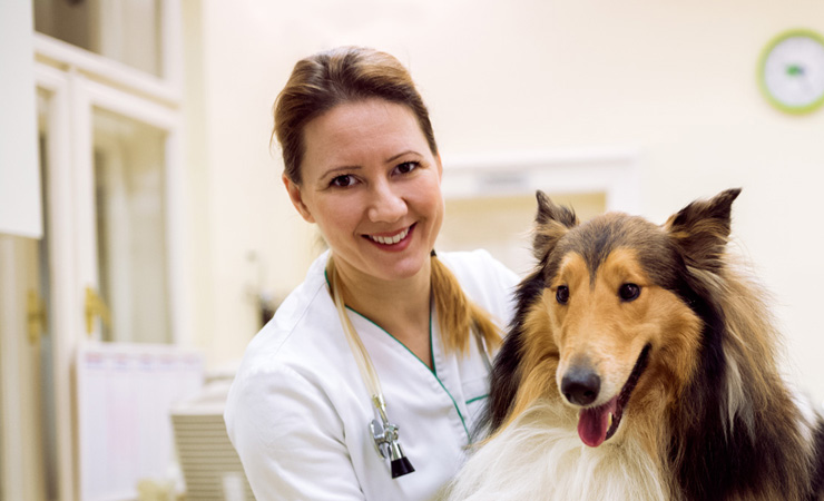 Tierärztin mit Chefarztbehandlung Tieraerztin