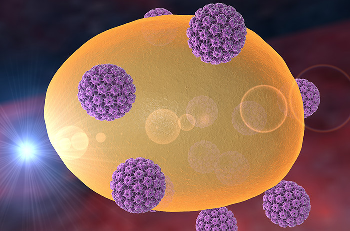 Fast jede Frau infiziert sich in ihrem Leben mit HPV, meist unentdeckt. Das Problem ist nicht die Infektion, sondern mögliche Zellveränderungen. 7 HPV in lila umkreisen einen gelben Zellkern, um in diesen einzudringen.