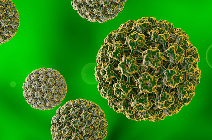 Bei Pap 2p und HPV-Infektion ist der Pap-Test zuverlässig überprüfen, statt abzuwarten und zu hoffen. 5 grüne HPV auf grünem Hintergrund