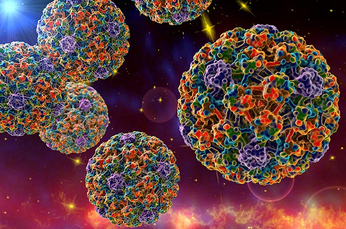 Bei Pap 3D (Pap 3D1 und Pap 3D2) mit und ohne HPV Infektion sollten Sie dringend den Befund mit einer zuverlässigen Abstrich-Methode abklären und für Heilung sorgen. 6 blau-rot-lila-farbene HPV auf blau- rotem Hintergrund.