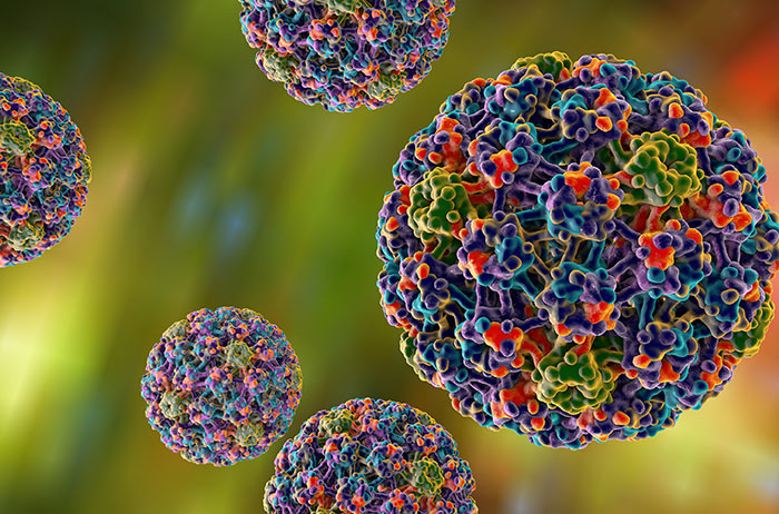 Pap 5 bedeutet, dass Krebszellen entdeckt worden sind. Jetzt muss sofort gehandelt werden. Allerding sollte der Abstrich unbedingt geprüft werden. 5 rot-blaue HPV auf blau- rotem Hintergrund